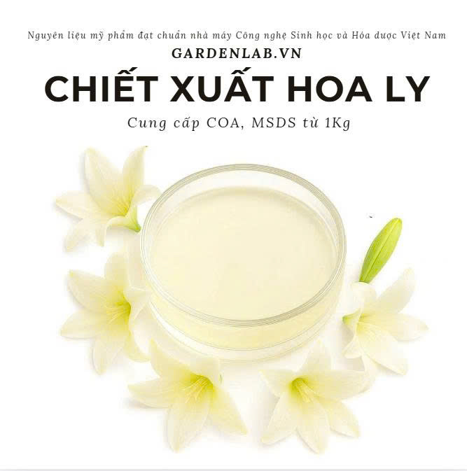 CHIẾT XUẤT HOA LY